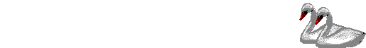 :::::